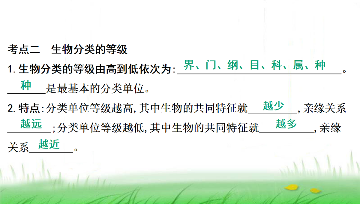 18285145第8页