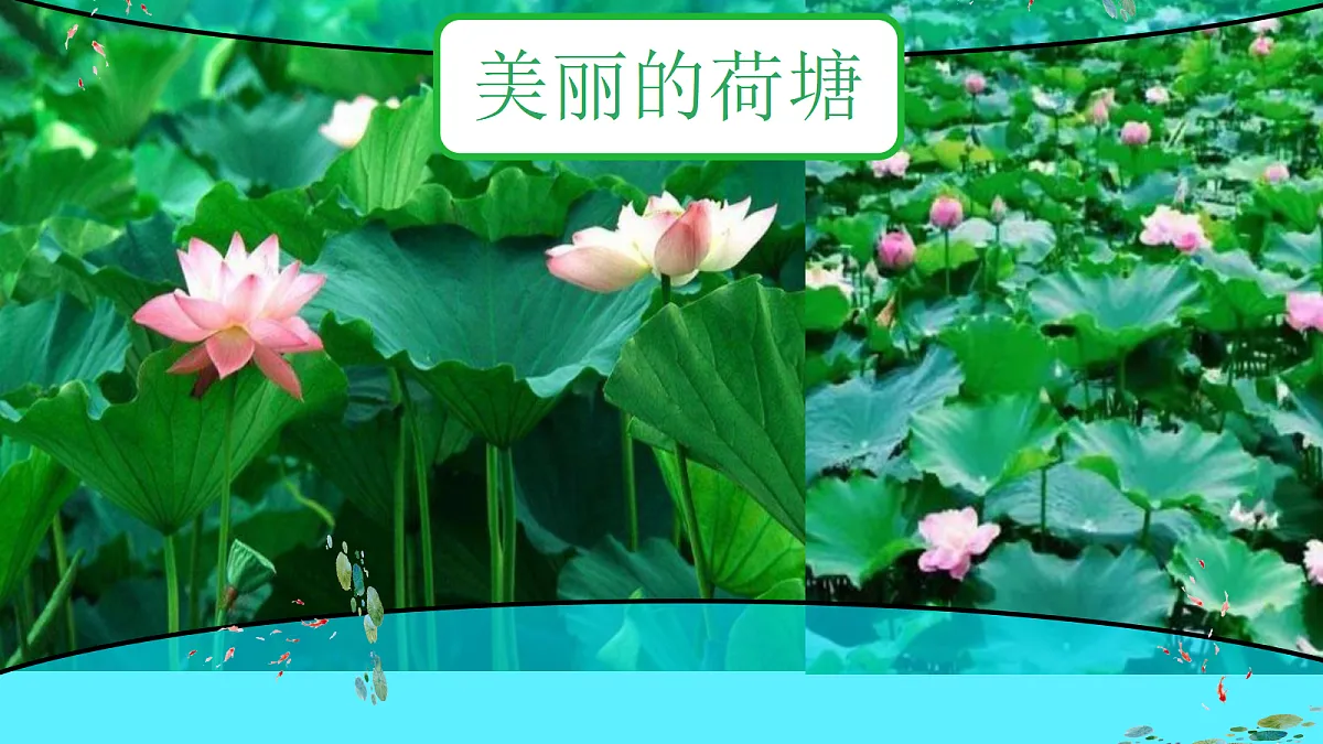 18285568第3页