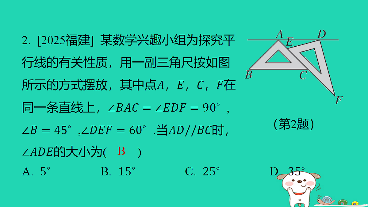 18285901第3页
