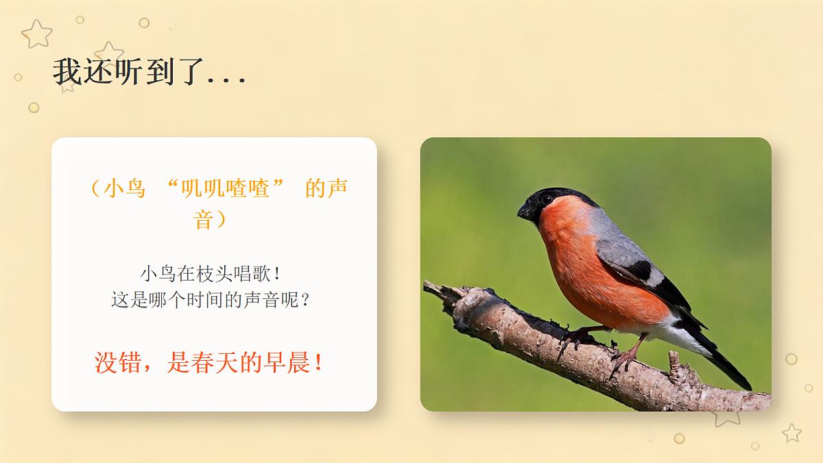 18286902第6页