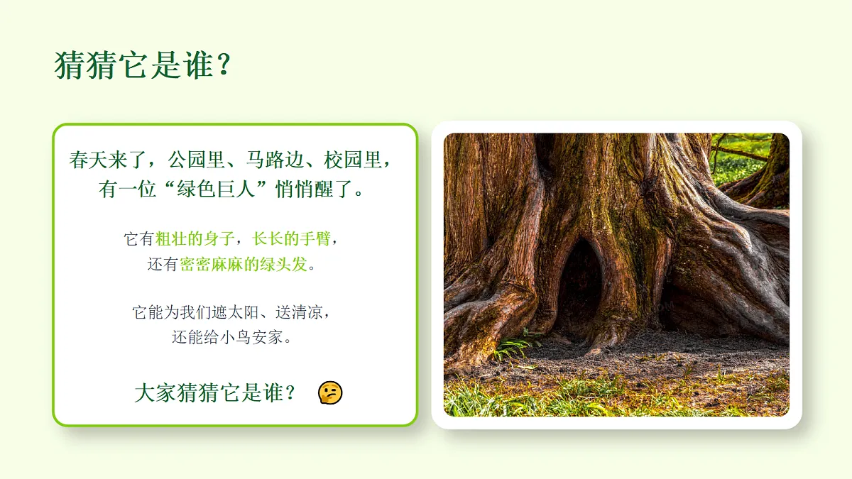 18286906第2页