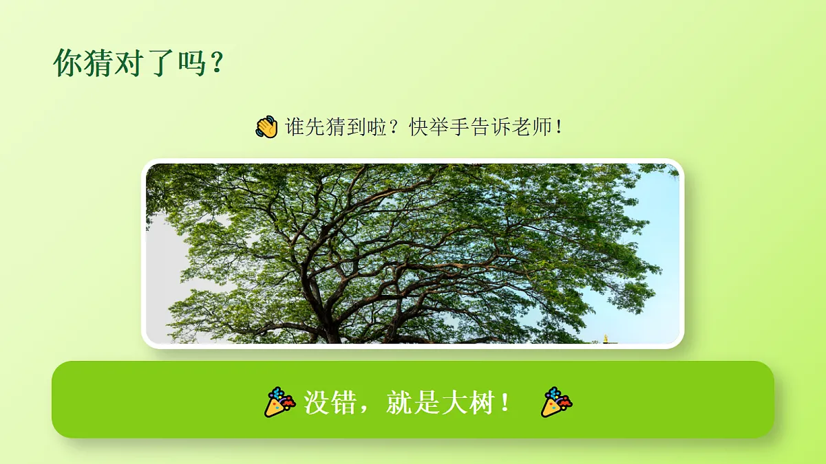 18286906第3页