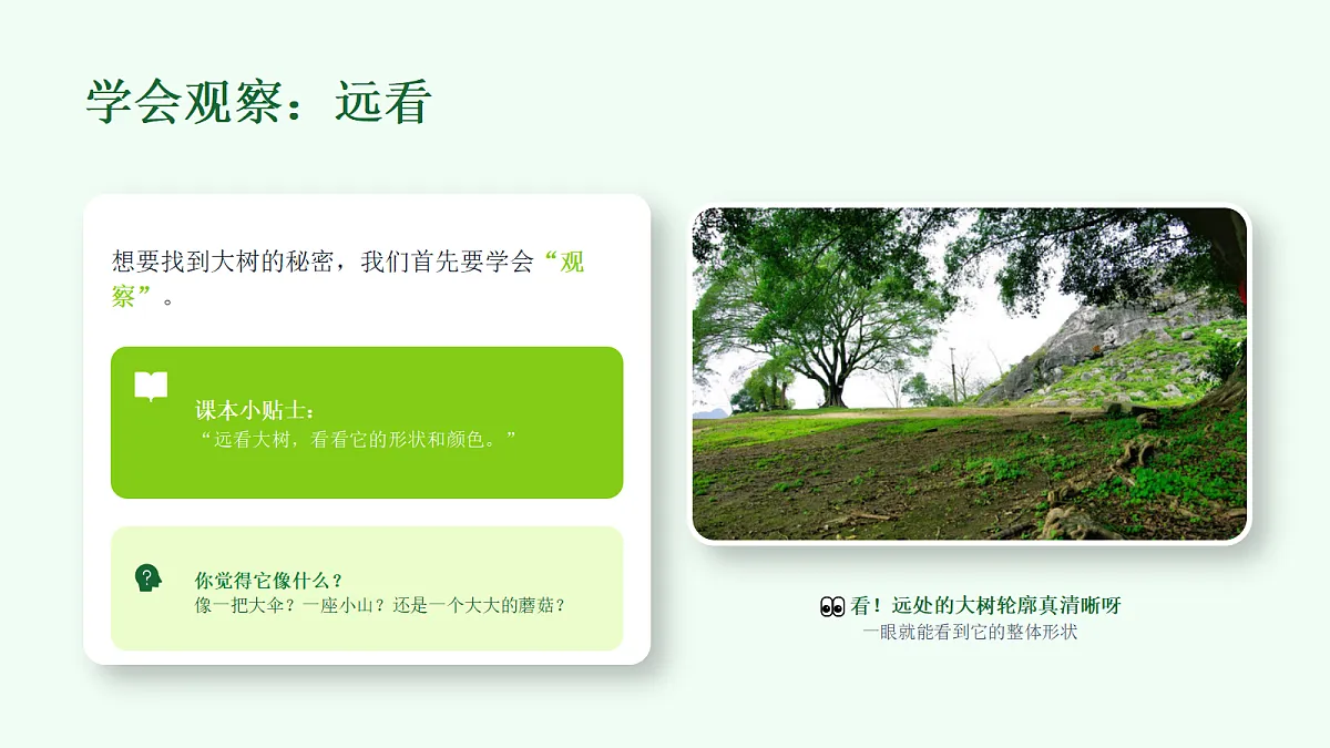 18286906第5页