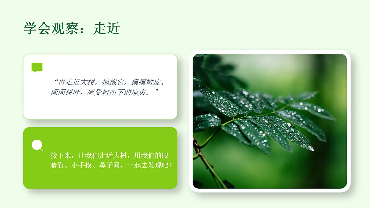 18286906第6页