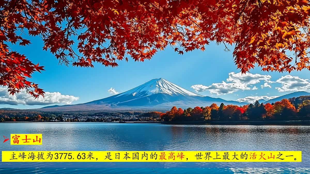 18287903第8页