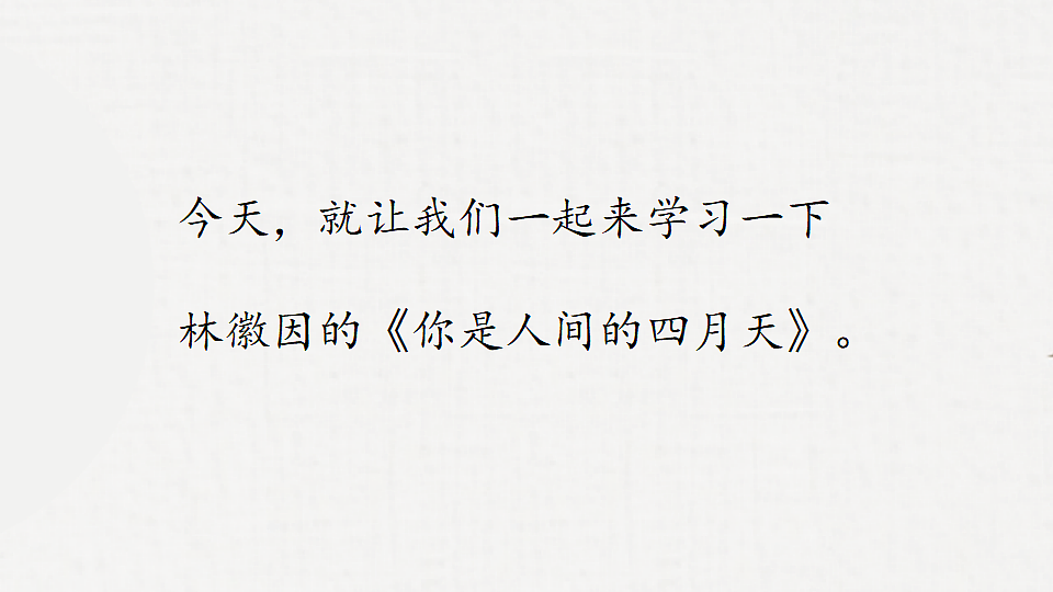 18295956第3页