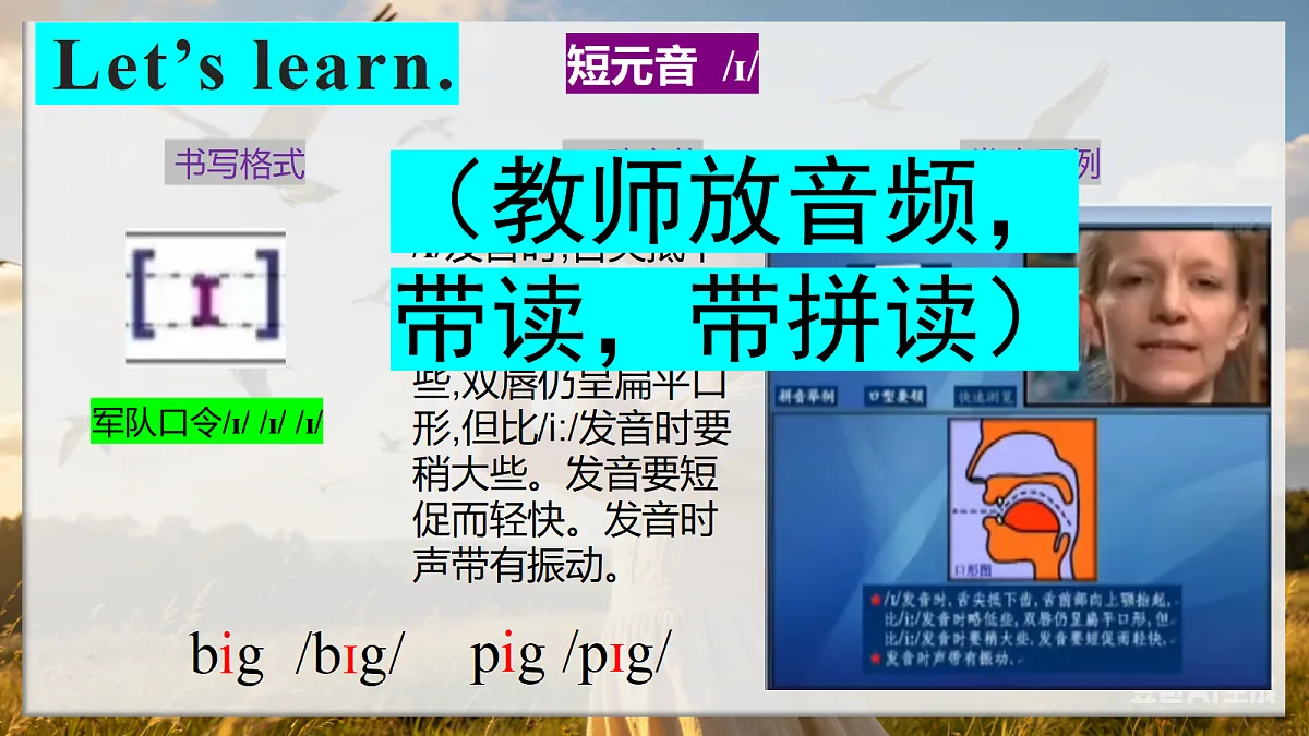 18296255第8页