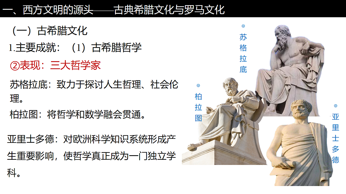 18298446第5页