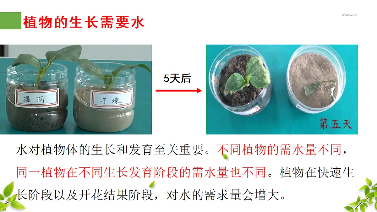 18300392第3页