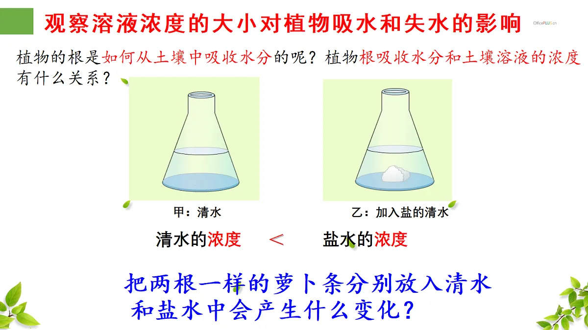 18300392第4页