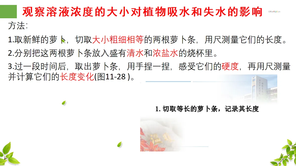 18300392第5页