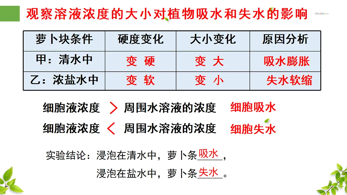18300392第6页