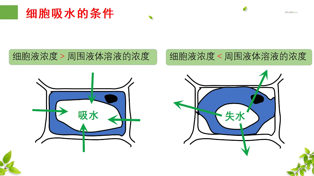 18300392第7页