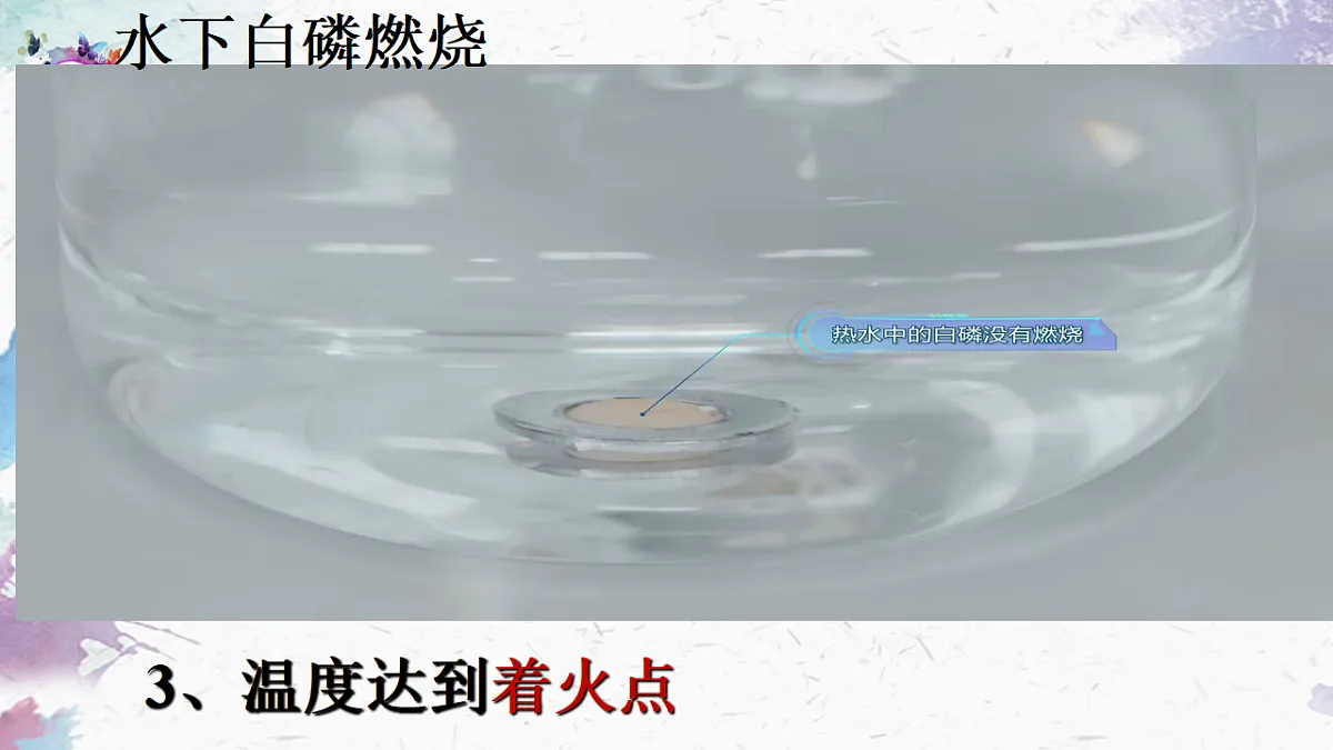 18304265第7页