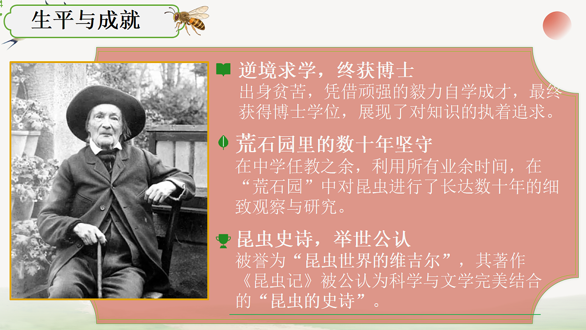 18304281第2页