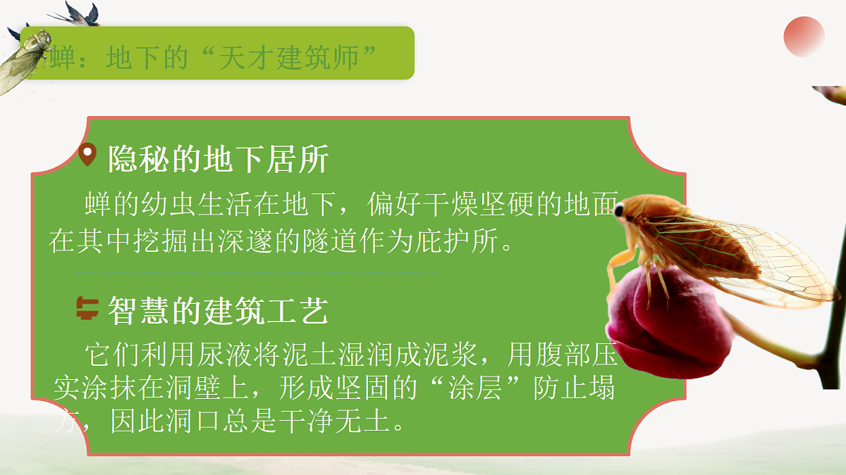 18304281第7页