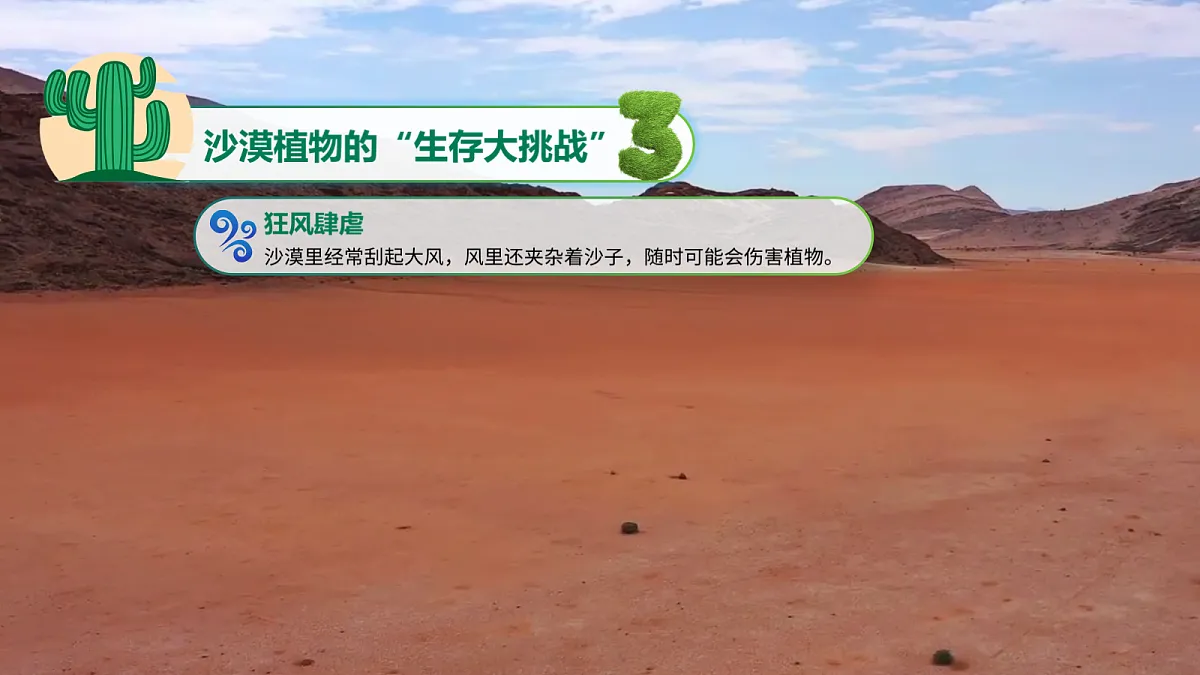 18304907第6页