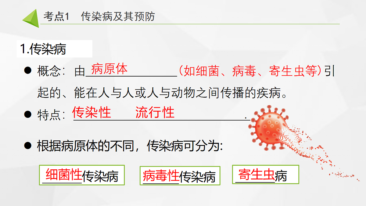 18305631第2页
