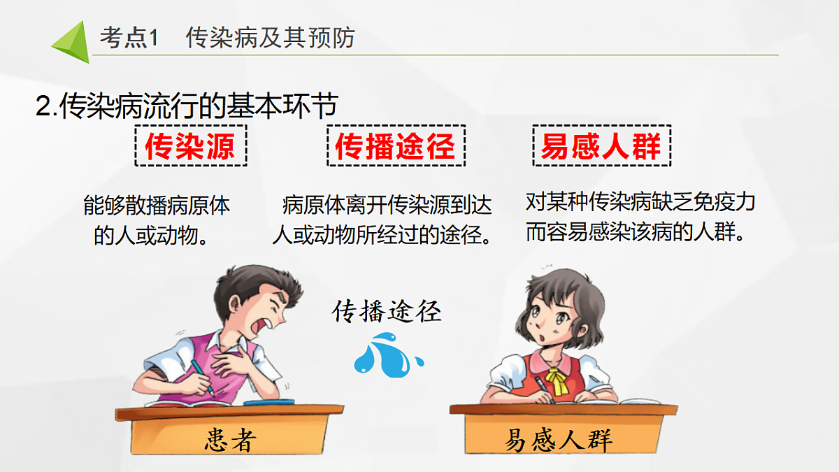 18305631第3页