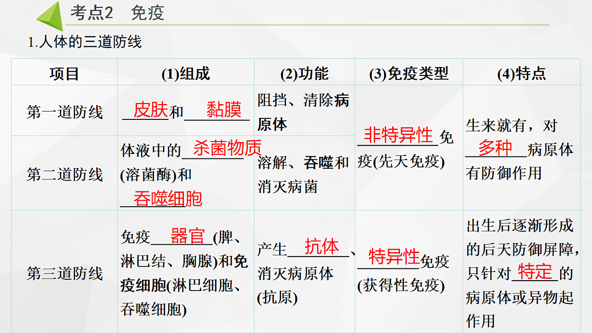 18305631第5页