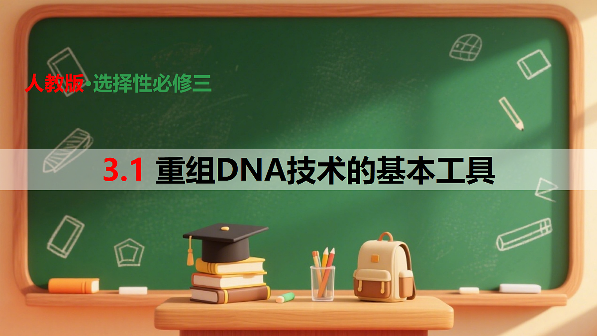 18306477第1页