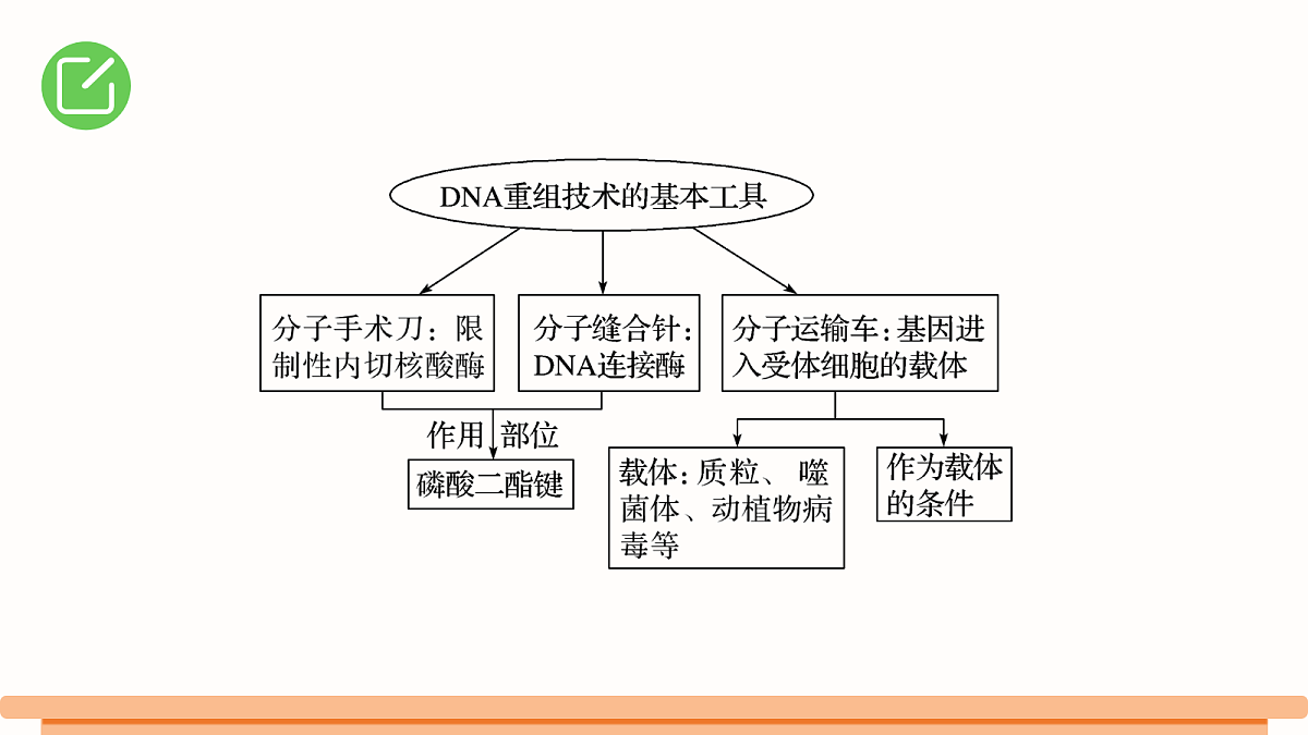 18306477第3页