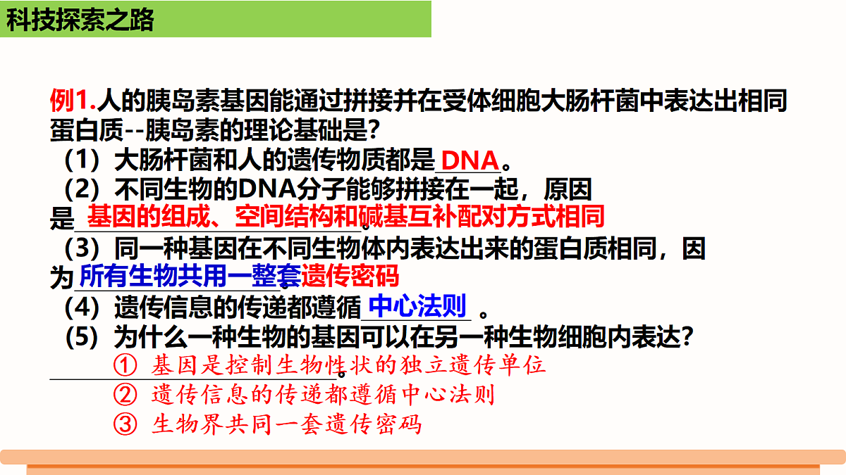 18306477第5页
