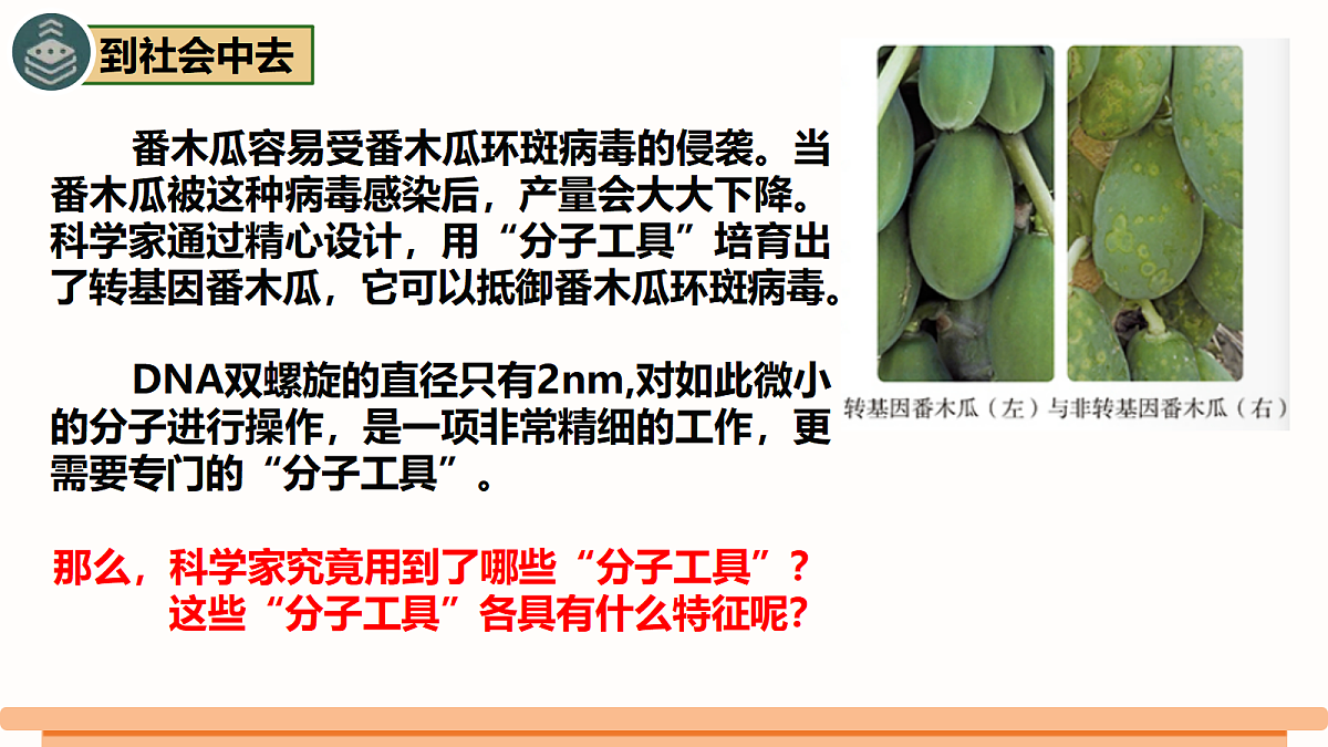 18306477第6页