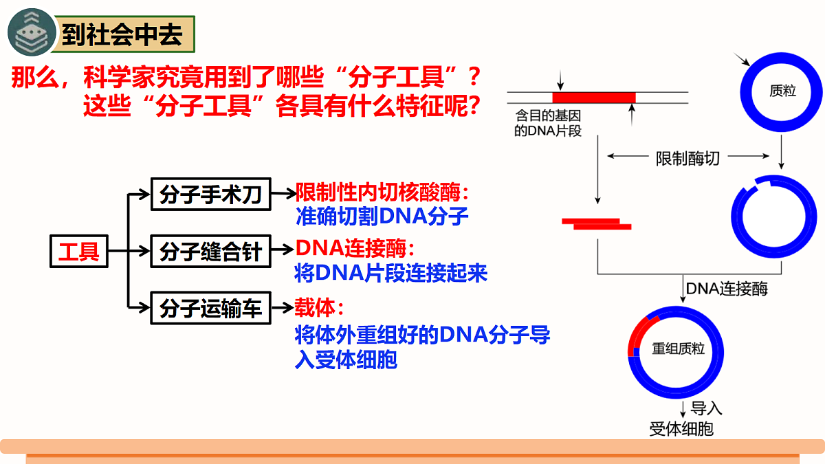 18306477第7页