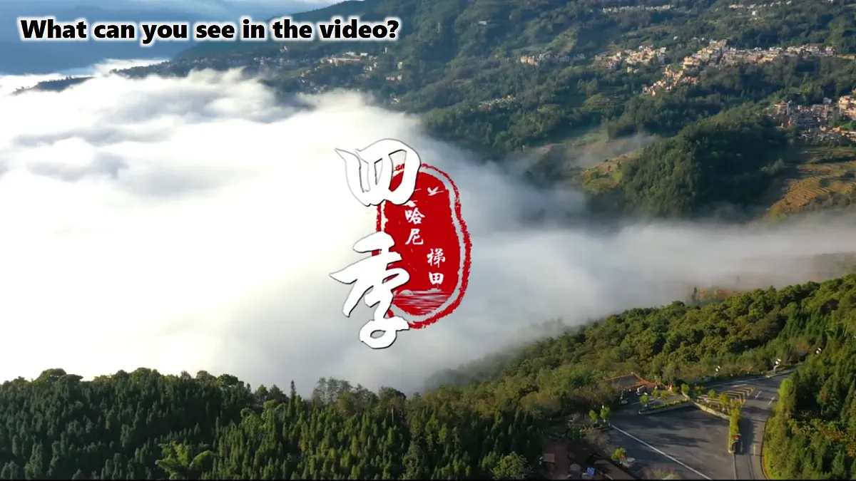 18312787第3页