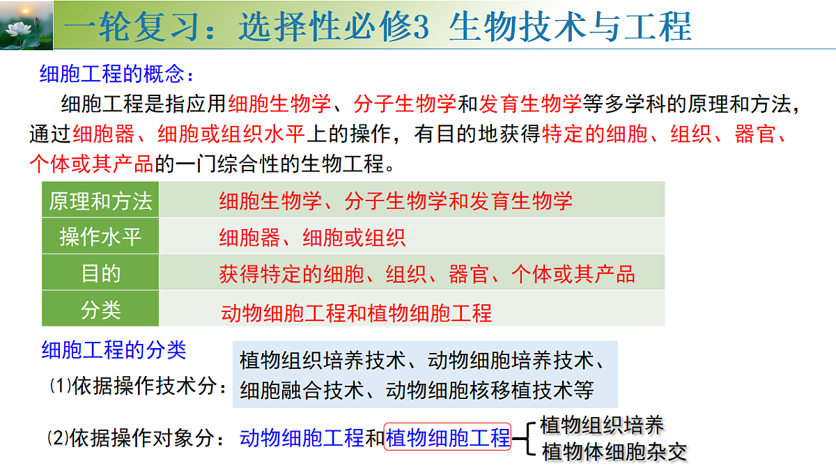 18313445第1页