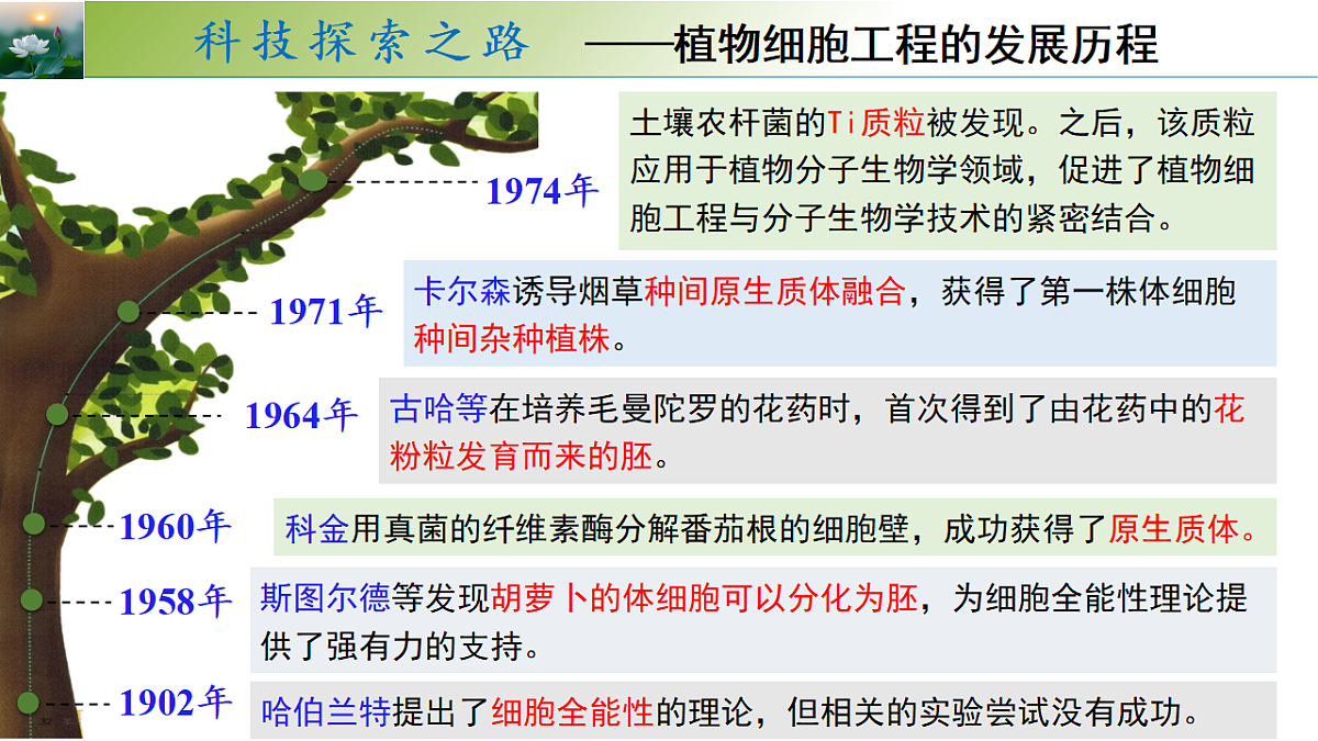 18313445第3页