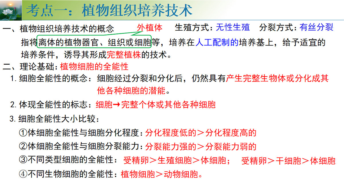 18313445第7页