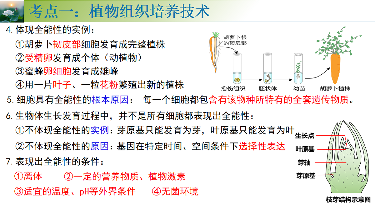 18313445第8页