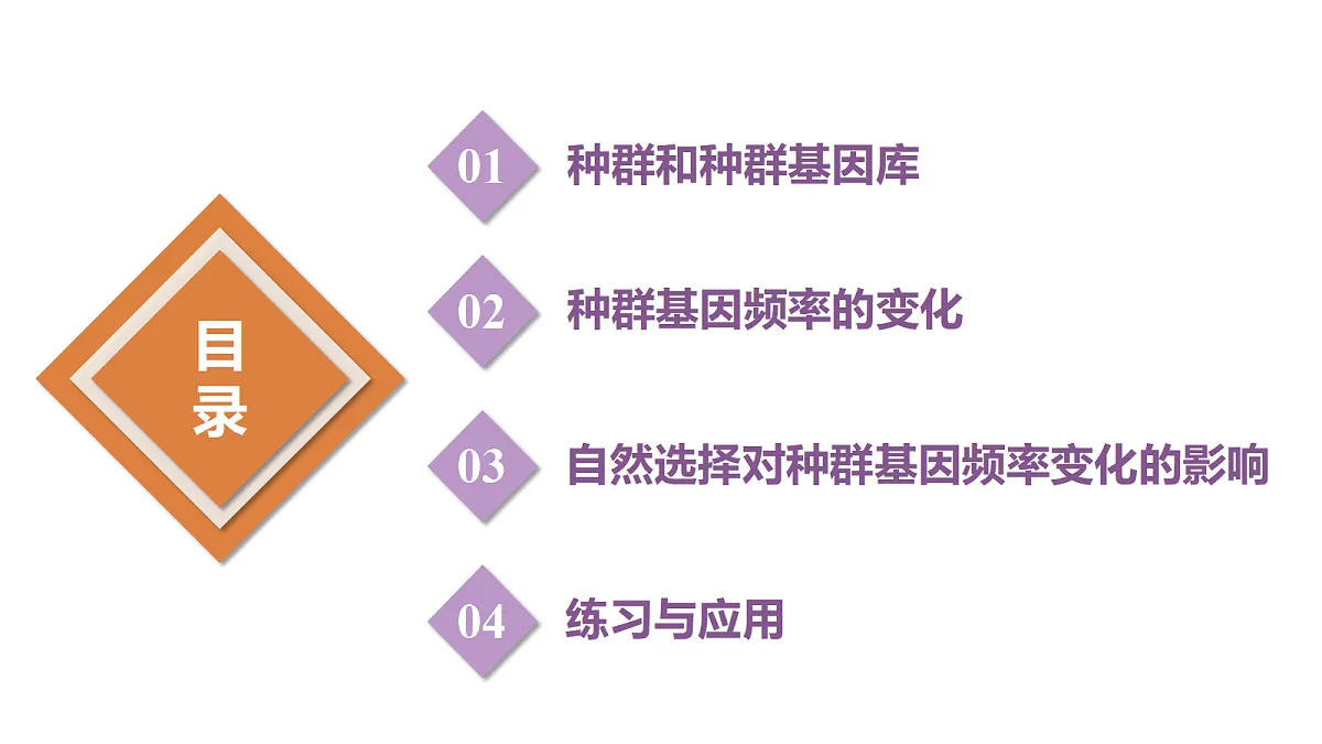 18313448第3页