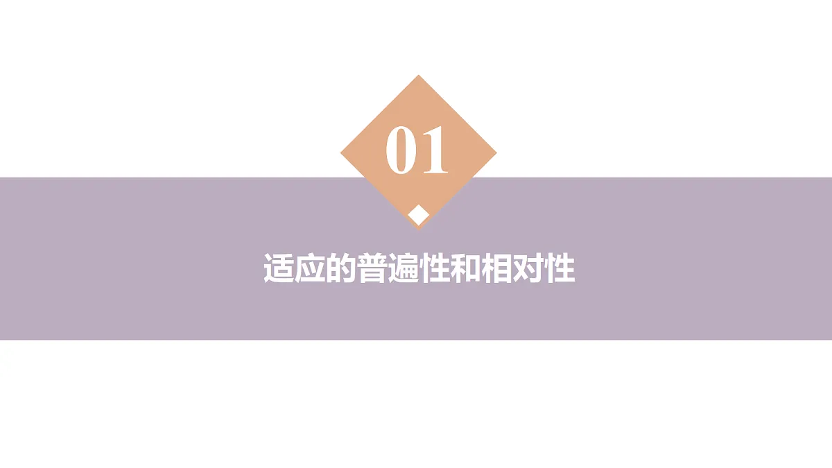 18313448第4页