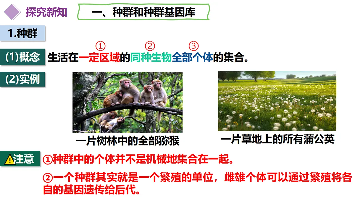 18313448第7页