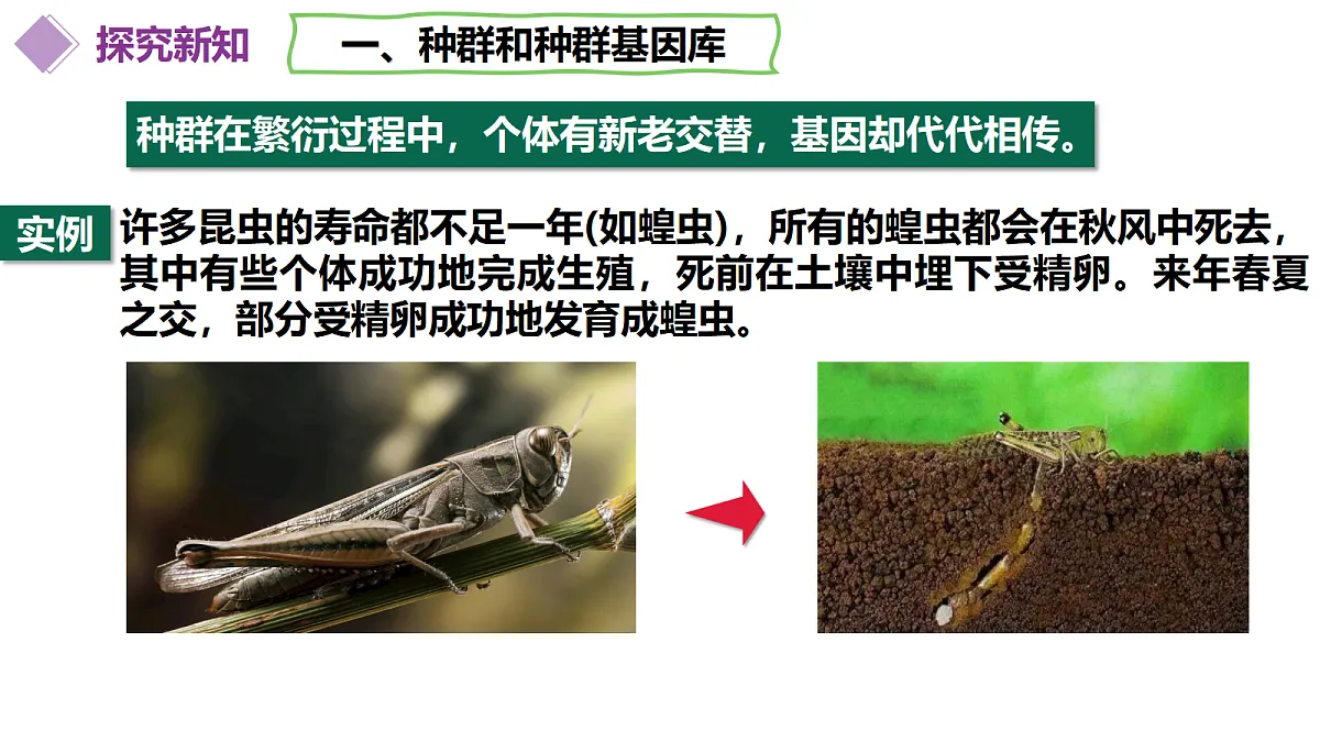 18313448第8页