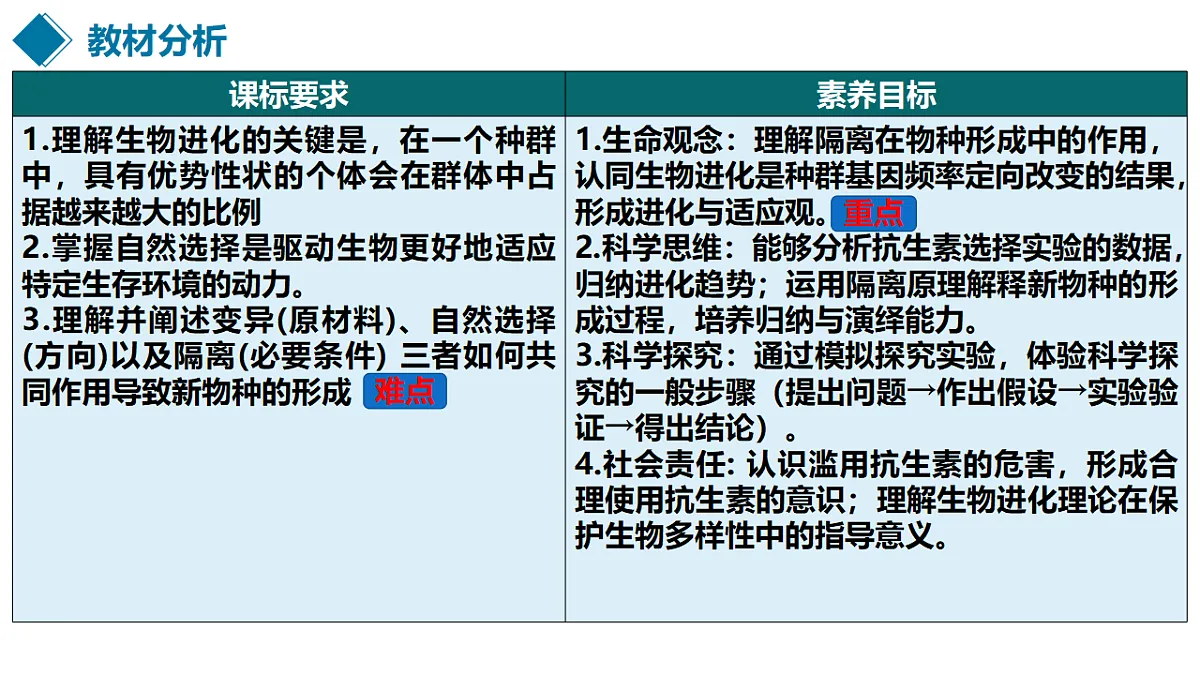18313449第2页