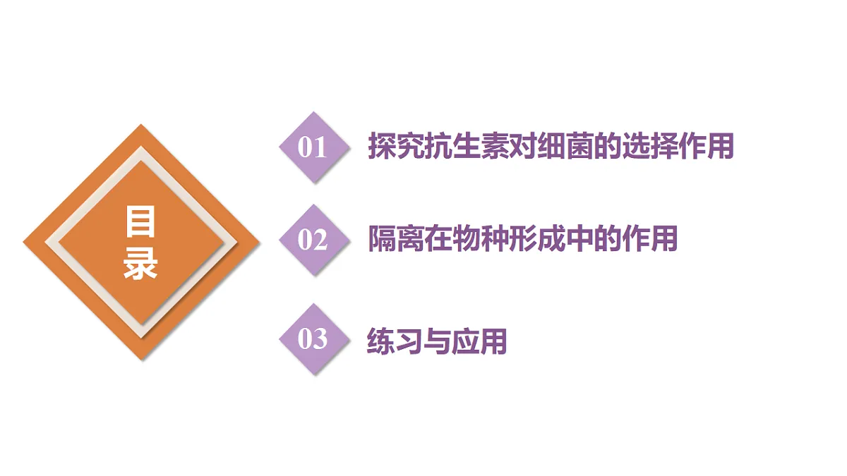 18313449第3页