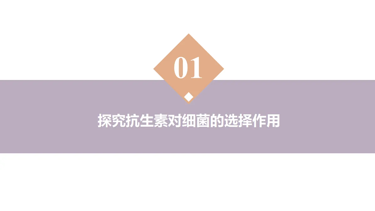 18313449第4页
