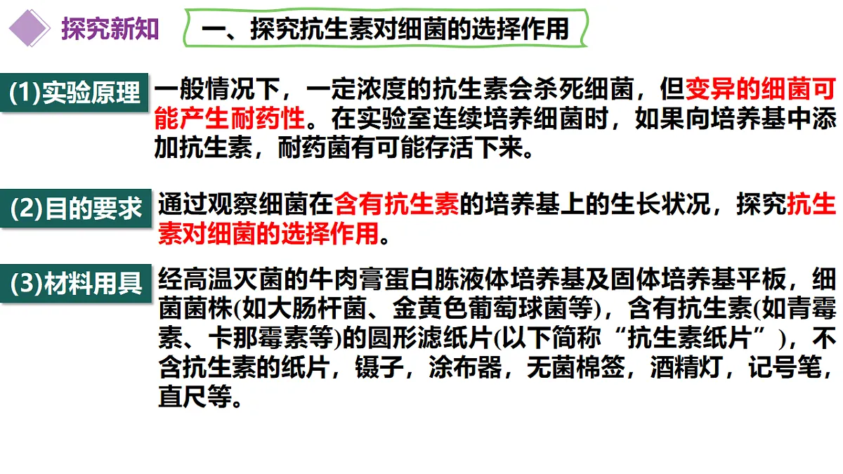 18313449第7页