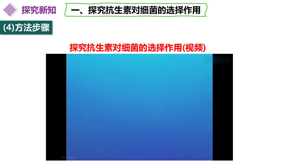 18313449第8页