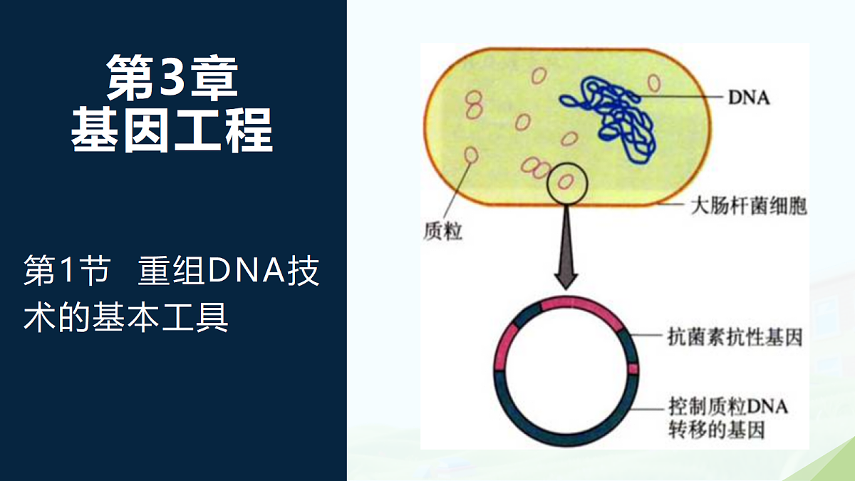 18314049第1页