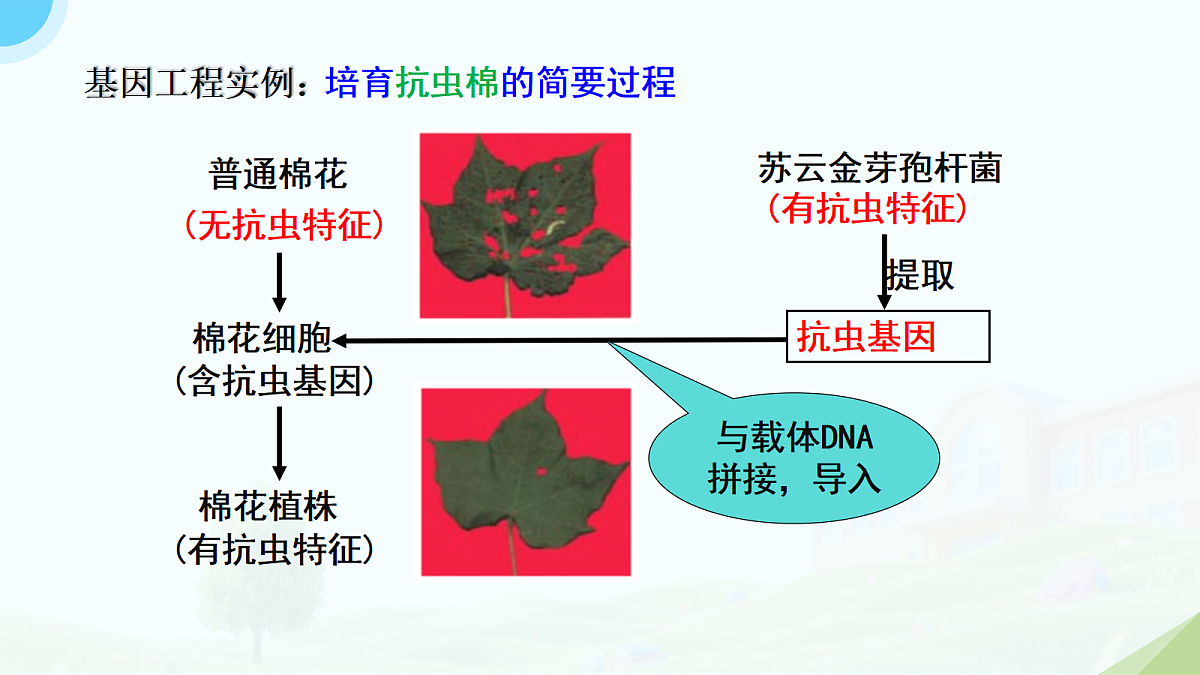 18314049第2页