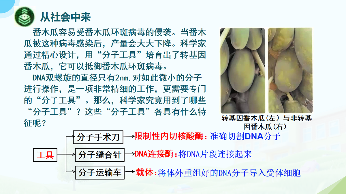 18314049第6页