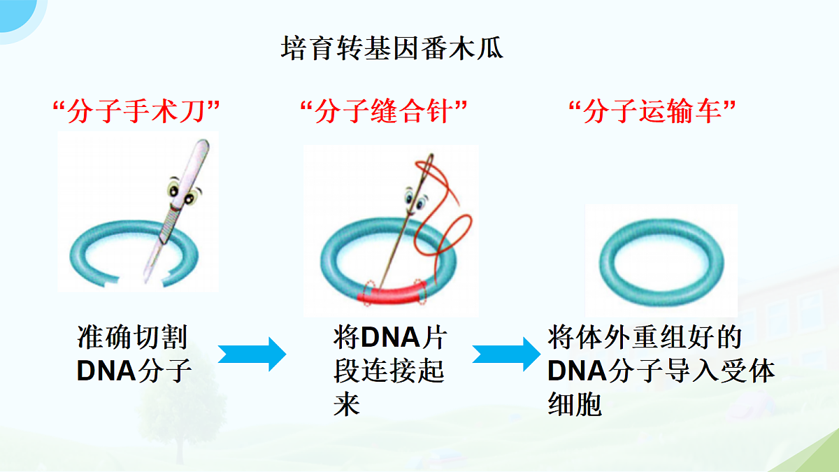 18314049第7页