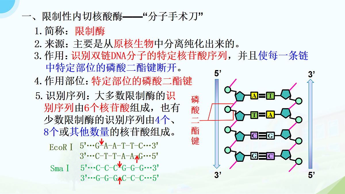 18314049第8页
