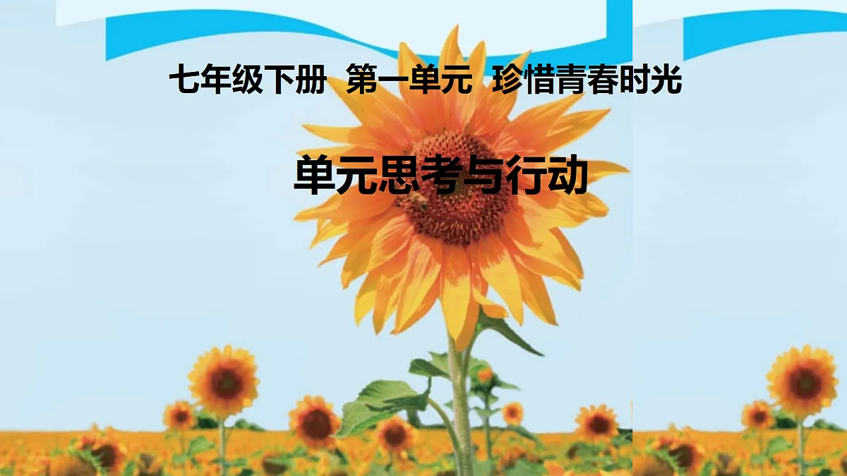 18318195第1页