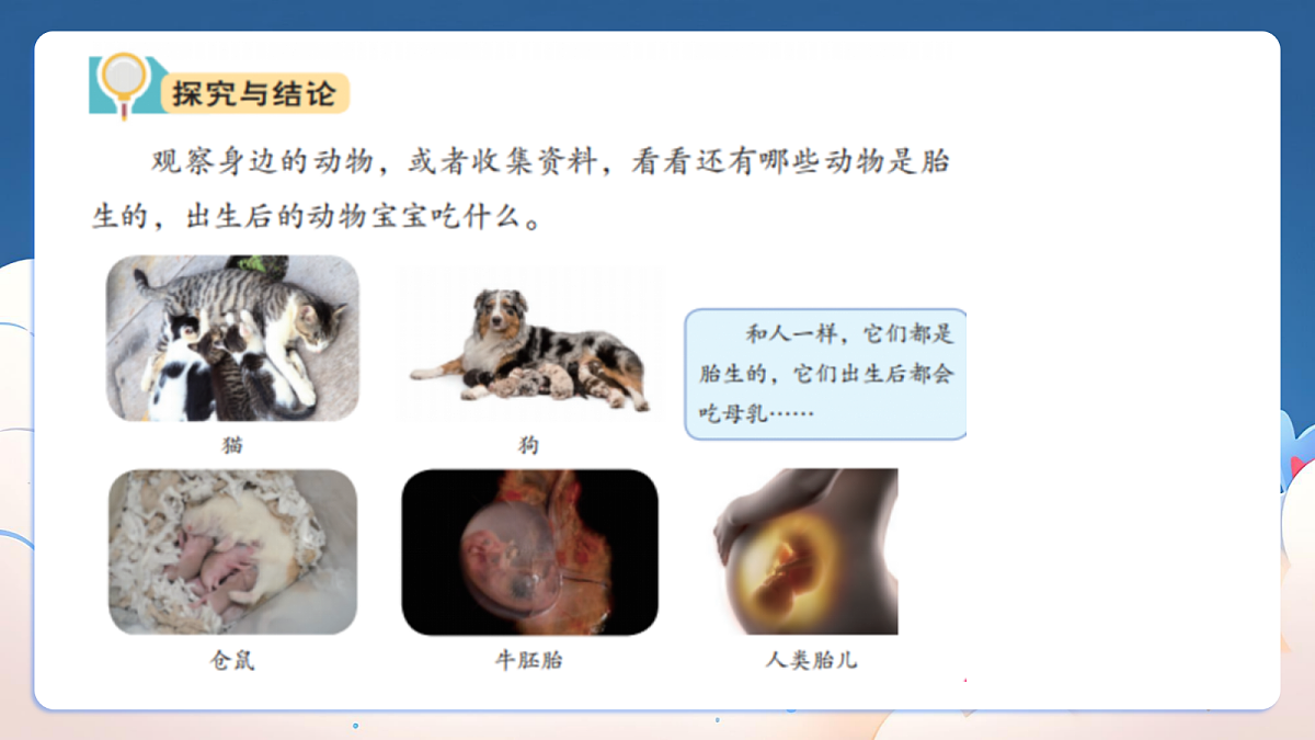 18318369第3页